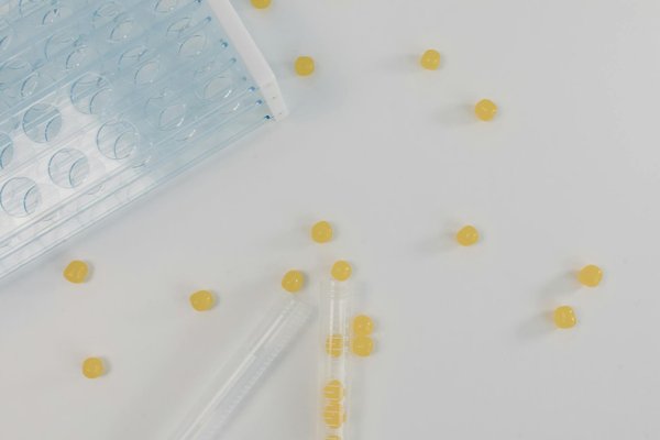 Acheter des pilules minceur : où et à quel prix?